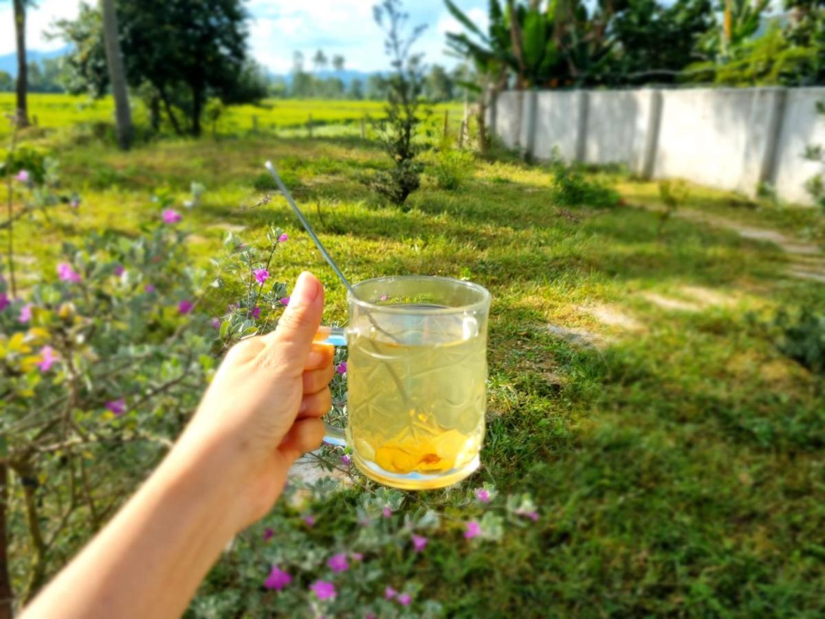 Katie'S Homestay Dong My Εξωτερικό φωτογραφία